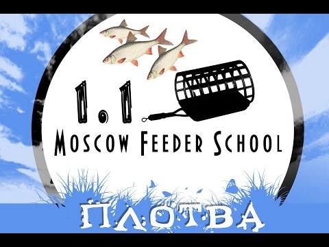 Видео: Moscow Feeder School "Ловля плотвы" 1.1(Московская фидерная школа)