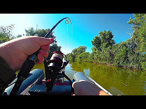 Видео: УДОЧКА В ДУГУ, РВУТ ПЛЕТЕНКУ! ЭТО ДИКАРИ НАСТОЯЩИЕ! Рыбалка на сазана.