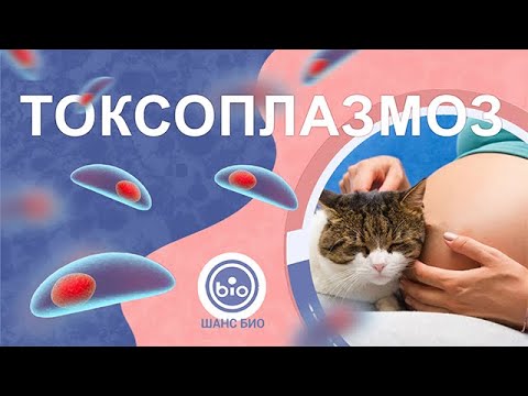 Видео: Токсоплазмоз