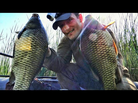 Видео: РЕАЛЬНЫЕ ЛАПТИ В ДЕБРЯХ КАМЫША! НО ТУТ ПРИЛЕТЕЛИ ОНИ!