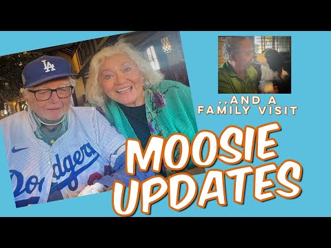 Видео: Лось — довольно редкая особь… во многих отношениях!