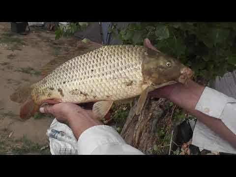 Видео: Ахтуба 2013