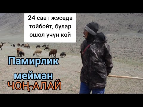 Видео: ПАМИРЛИК МЕЙМАН /ЧОН-АЛАЙ/ Сулайман Жанботоев