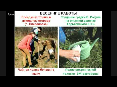 Видео: Интенсивные грядки Розума. Б.А. Бублик. Часть 2