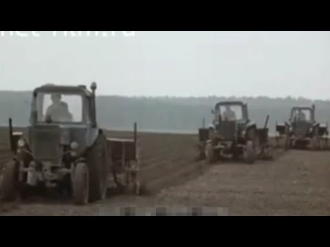 Видео: Технология возделывания картофеля. МТЗ-80, МТЗ-82