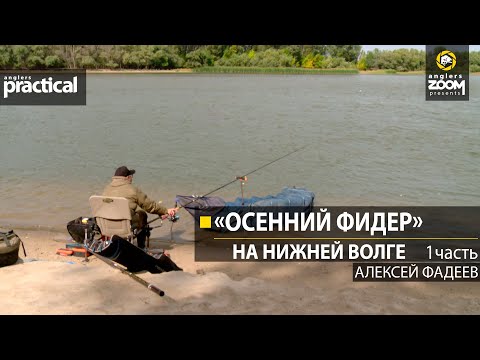 Видео: Осенний фидер на нижней Волге. Алексей Фадеев. 1 часть. Anglers Practical
