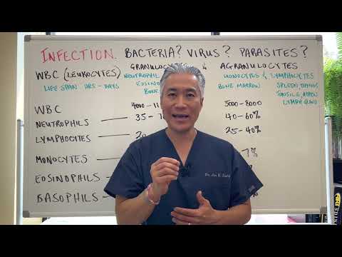 Видео: Инфекция. Бактерии? Вирус? Паразиты?