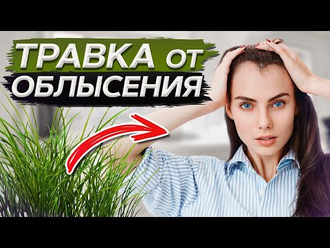 Видео: Эти ТРАВЫ помогут ОСТАНОВИТЬ облысение! / Фитотерапия в трихологии