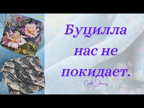 Видео: Буцилла нас не покидает!