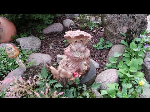 Видео: обзорная экскурсия по саду -АВГУСТ-