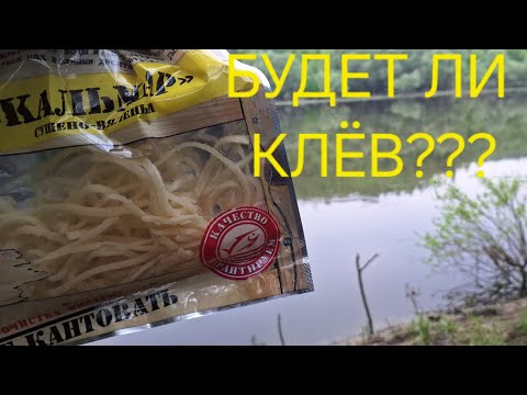 Видео: РЫБАЛКА НА ДОНУ. ЛОВЛЮ КАРАСЯ. ЭКСПЕРИМЕНТИРУЮ С НАЖИВКАМИ.