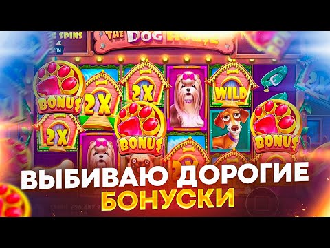 Видео: ПОЙМАЛ БОНУСКУ ПО МАКСБЭТУ В DOG HOUSE MULTIHOLD ! ТАКОГО ПОДЪЕМА Я НЕ ОЖИДАЛ ! ЗАНОСЫ НЕДЕЛИ !