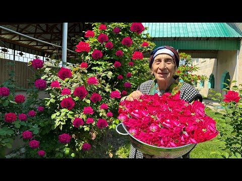 Видео: Сбор Роз и приготовление варенья из Роз, и Долма Три сестры, Куриный рецепт