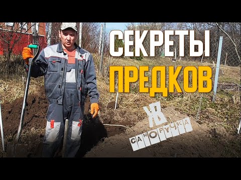 Видео: ОТЛИЧНЫЙ УРОЖАЙ БЕЗ УДОБРЕНИЙ | ОРГАНИЧЕСКОЕ ЗЕМЛЕДЕЛИЕ ДВА ПРОСТЫХ МЕТОДА. ЖКВ Саморучка.