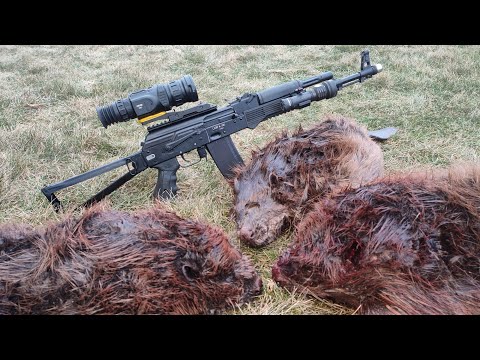 Видео: Сайга мк 223 и Arkon Arma HL50. Охота на бобра с лодки. Как охотится на бобра.