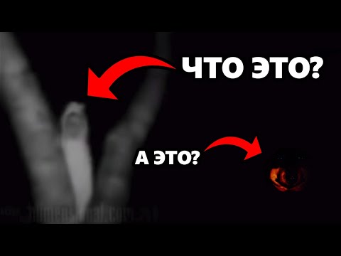 Видео: DAWG смотрит страшные видео! #1 СМОТРЕТЬ ВСЕМ! Я был в шоке.