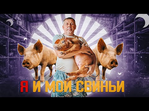Видео: Содержание нескольких пород свиней: Дюрок, вьетнамская вислобрюхая и типа Ландрас. "Мое Подворье"