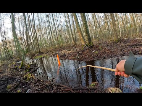 Видео: Рыбалка КАК В ДЕТСТВЕ! ВЫРЕЗАЛ ДЕДОВСКУЮ СНАСТЬ и на ЛЕСНОЙ РУЧЕЙ на поплавок 2025