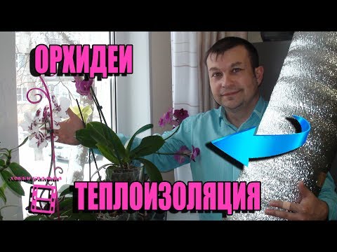 Видео: УТЕПЛЕНИЕ ОРХИДЕЙ ЗИМОЙ. ОРХИДЕИ В ДОМАШНИХ УСЛОВИЯХ. ЭКЗОТИКА НА ПОДОКОННИКЕ