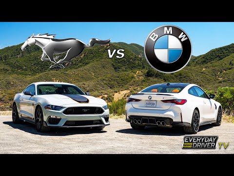 Видео: Mustang Mach 1 против BMW M4 — Лошадь против Бобра | Everyday Driver, сезон 9
