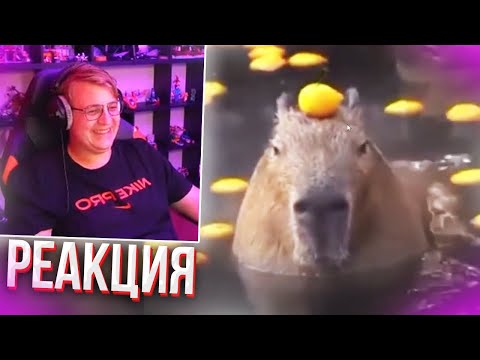 Видео: Пятёрка смотрит UNUSUAL MEMES COMPILATION V148 / нарезка фуга тв