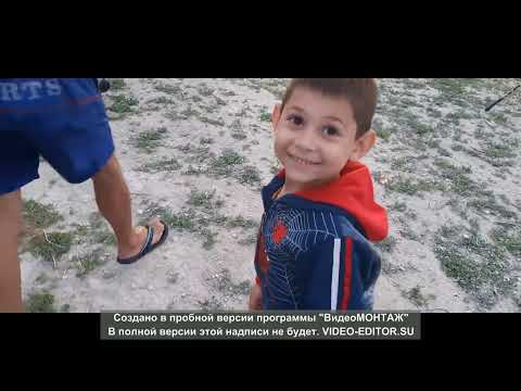 Видео: Рыбалка на Дону.