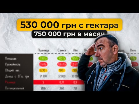 Видео: Посчитал доходы с 1200 гектар. Сколько заработал на пшенице, ячмень, семка, лён, вино и виноград