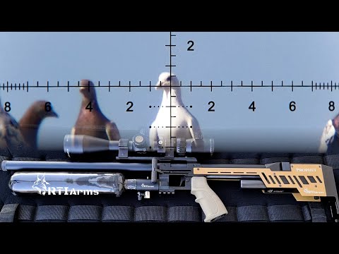 Видео: Супермаркет Super Pigeon Shoot