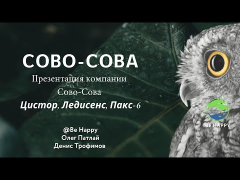 Видео: Цистор, Ледисенс, Пакс-6 - Новинки  | Презентация компании "Сово Сова"