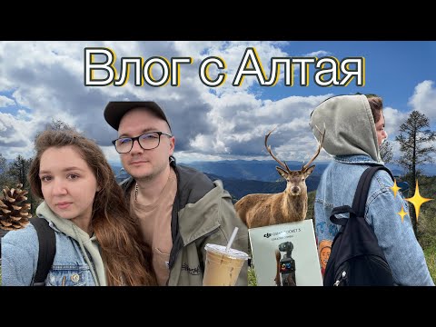 Видео: Спокойный влог по Алтаю // горы и релакс