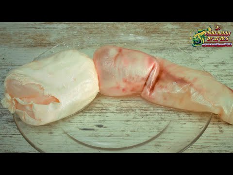 Видео: Никогда не выбрасывайте воздушный рыбий пузырь, из него можно приготовить вкусные блюда!