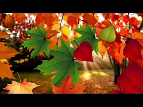 Видео: Футаж "Күз"