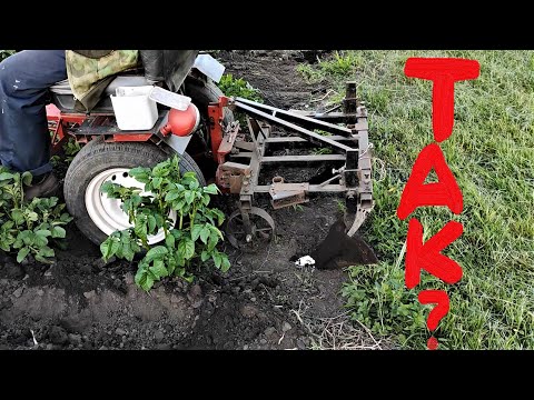 Видео: 2 окучивание, но уже не блинами! УШАСТЫЕ!