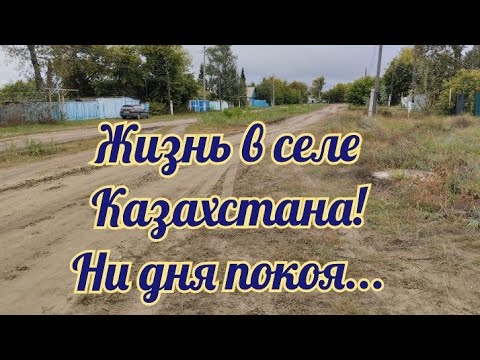 Видео: Казахстан!Несколько дней из жизни сельской семьи/Ремонт,работаем по ночам/Мама рассаживает клубнику/