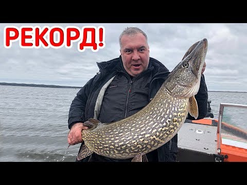 Видео: Рыбалка на ОГРОМНЫХ ЩУК! Ловля весной на спиннинг