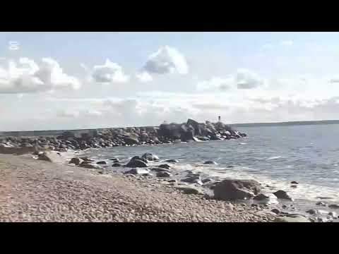 Видео: Летнее море🌊
