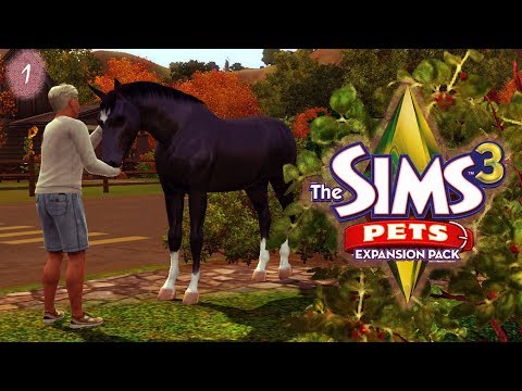 Видео: The Sims 3 Питомцы #1 Сельская жизнь