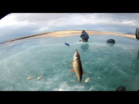 Видео: Бирюзовый лёд о.Парное 30-31 мар.2019