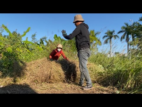 Видео: Огромные рулоны травы покрыли тротуар—Смотрите, что мы нашли под ними!