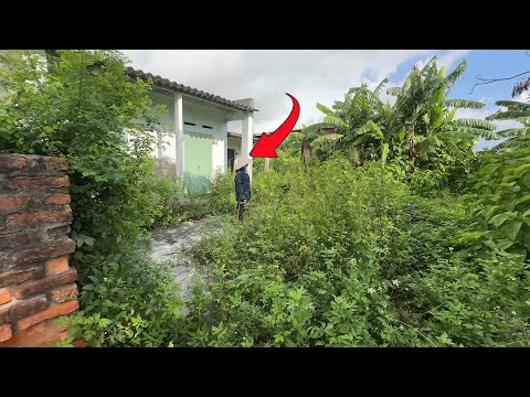 Видео: Мать-одиночка купила дом за 2000 долларов. Она считает, что сорняков слишком много, и она может их