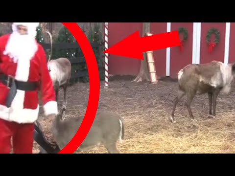 Видео: 60 случаев, когда САНТА КЛАУС был снят на камеру (60 Санта Клаусов снятых на камеру) СБОРНИК ВИДЕО 1