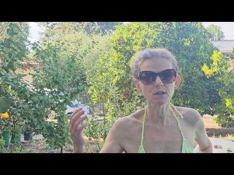 Видео: Ночуем на улице. Последний день купального сезона.