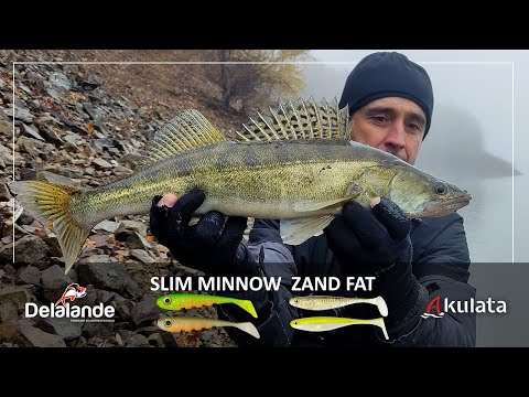 Видео: Бели риби от брега. Зрелищно вадене. Триумф на Slim Minnow и Zand Fat
