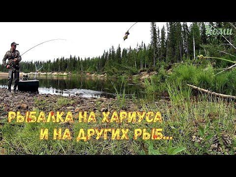Видео: Рыбалка на средней речушке по хариусу а так же и на щуку , окуня и язя.