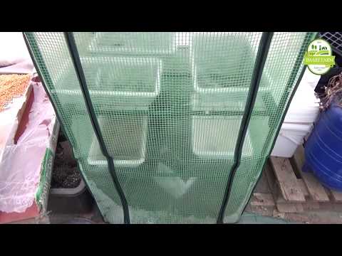 Видео: Малък парник с подобрение и началото на един експеримент.