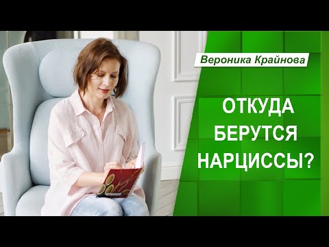 Видео: Откуда берутся нарциссы? | Вероника Крайнова