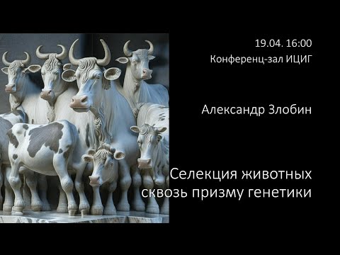 Видео: Александр Злобин: Селекция животных сквозь призму генетики