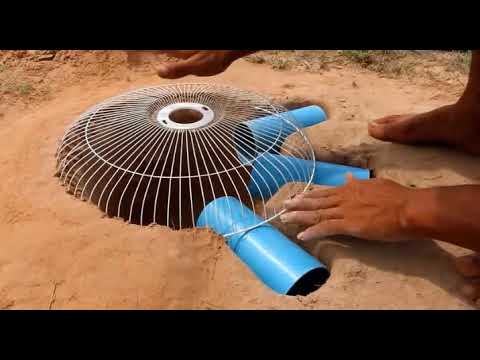 Видео: Охотник сделал в земле ловушку для куропаток и поймал сразу 7 штук