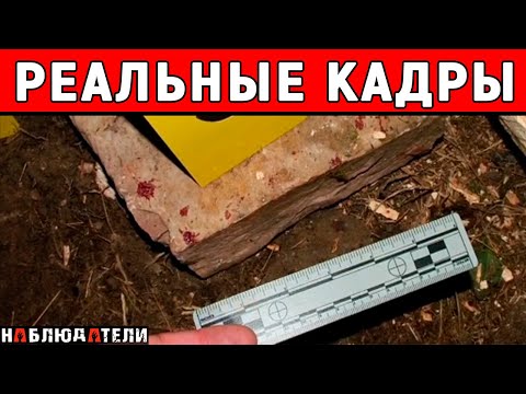 Видео: Дико странная история.