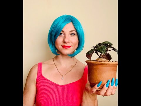 Видео: Ночные пересадки с Урсулой. Sinningia eumorphai